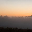bt-031  Morning fog along Upper Spruce Hedge Road