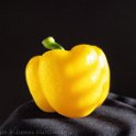 yellow pepper