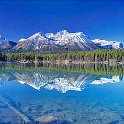 Hector Lake  Hector Lake (along the Icefields Parkway) is yet another popular stop-off site for tourist buses - I was inundated with travellers asking me questions, and getting me to take their pictures.